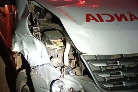 Ambulância atropela bovino solto na SC-159 em Campo Erê