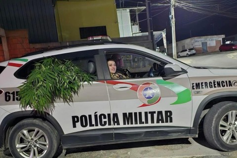Foi de carona… e levou o “jardim” junto: homem é preso em Joinville com pé de maconha dentro da viatura