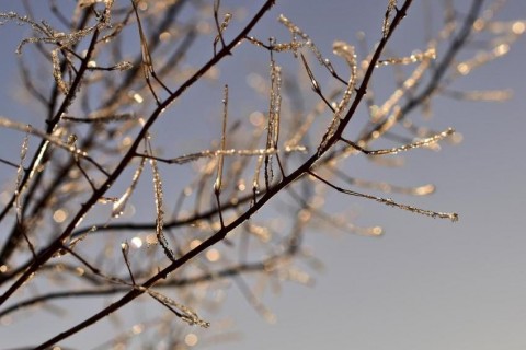 Massa de ar frio derruba temperaturas em SC a partir desta segunda-feira