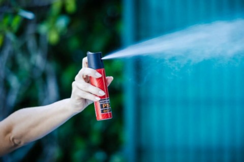 Alesc aprova projeto que prevê spray de pimenta para mulheres em SC