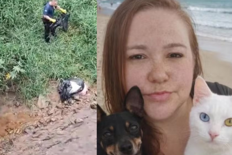 Corpo esquartejado encontrado em córrego é de corretora desaparecida em Florianópolis